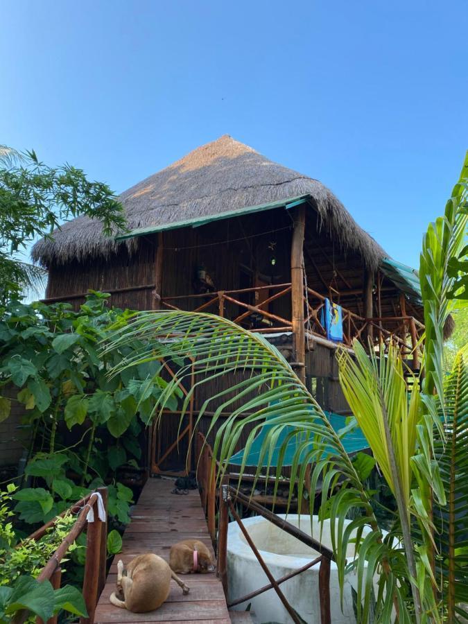 Апартаменты Malinche Cafe In Coba Tulum Экстерьер фото