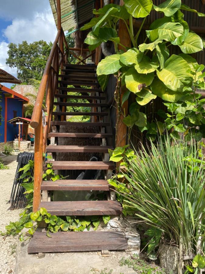 Апартаменты Malinche Cafe In Coba Tulum Экстерьер фото
